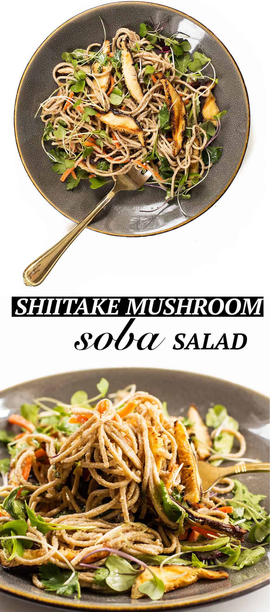 shiitake mushroom soba salad - This cold shiitake mushroom soba noodle salad is perfect for lunch or as a side-dish and is very filling. The peanut sauce dressing boosts the flavor to a new level. This recipe will be ready in less than 15 minutes.