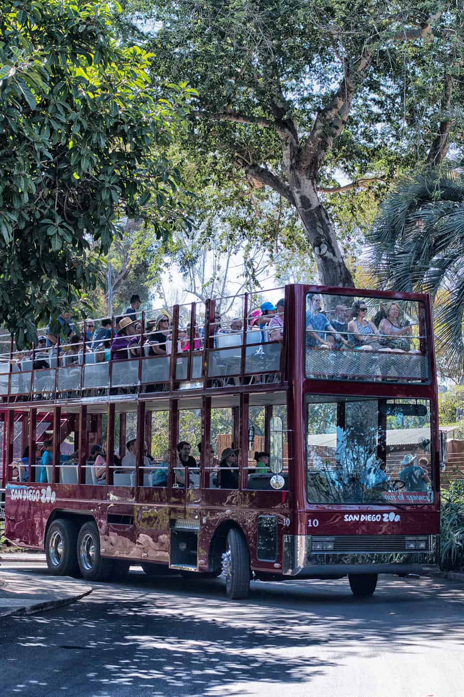 san-diego-zoo-busses