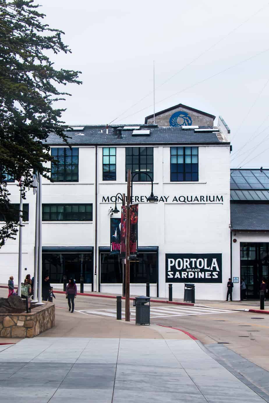 see monterey bay aquarium 