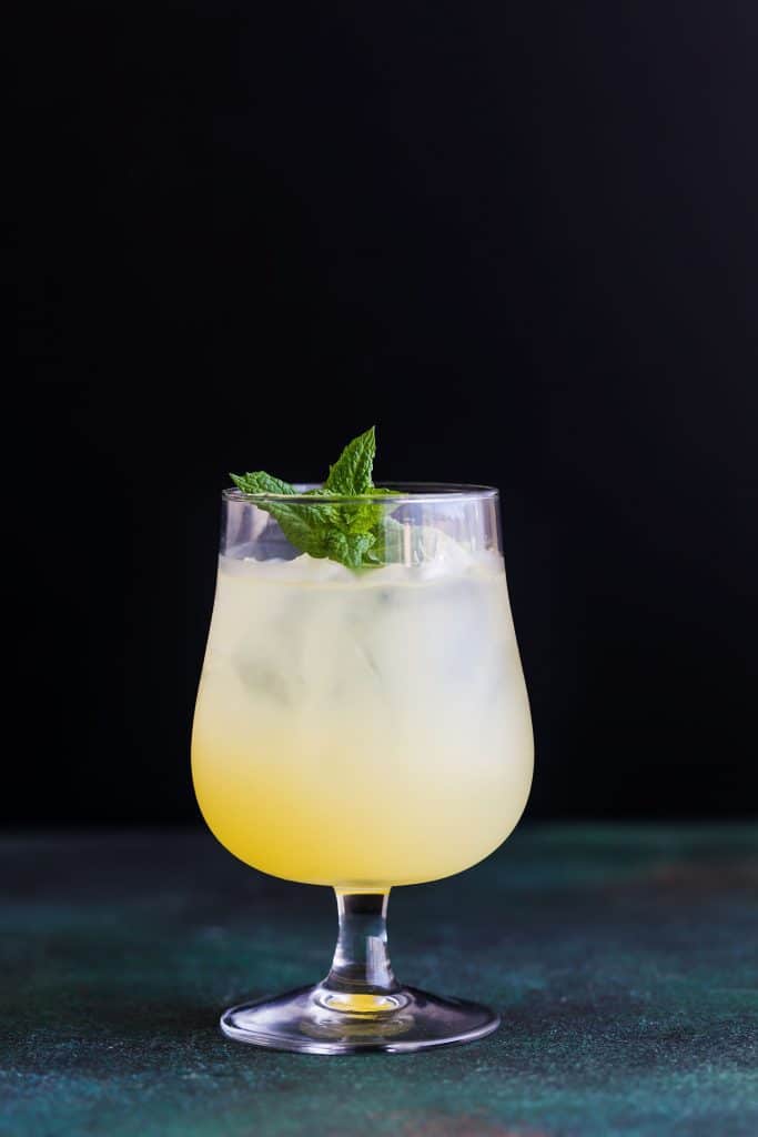 Orange Gin Recipe - Seagrams Extra Dry - Posh Journal