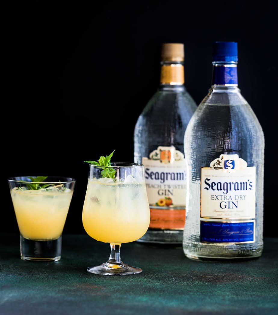 orange gin recipe cocktail seagrams