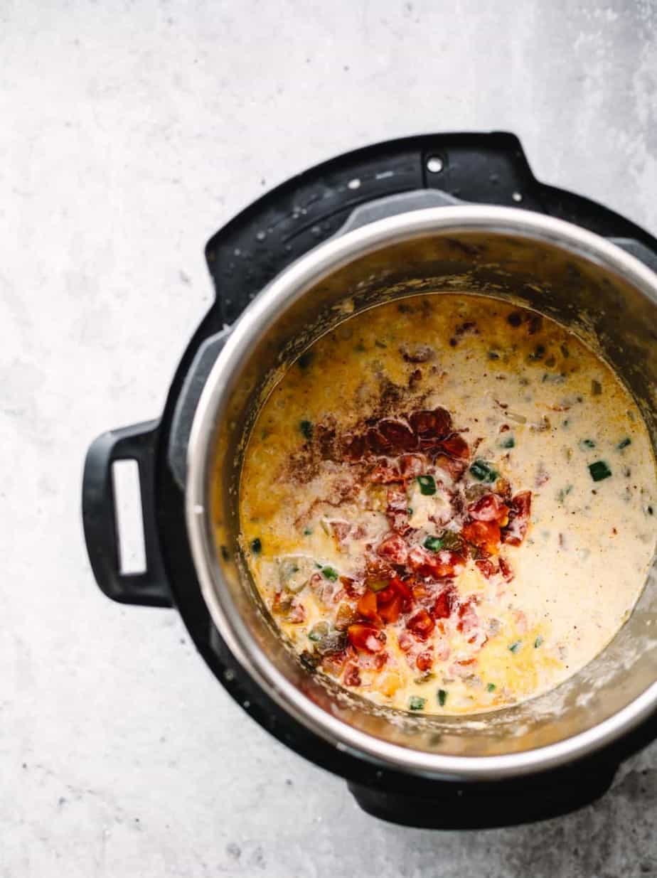 Instant Pot Queso Dip Recipe Posh Journal