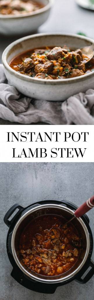 Instant Pot Lamb Stew with Apricots. 