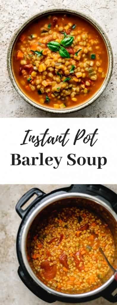 Instant Pot Barley Soup 