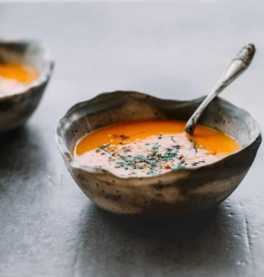 Instant Pot ACE Blender Root Vegetables Soup