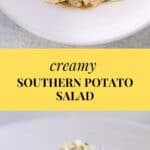 Southern Potato Salad recipe
