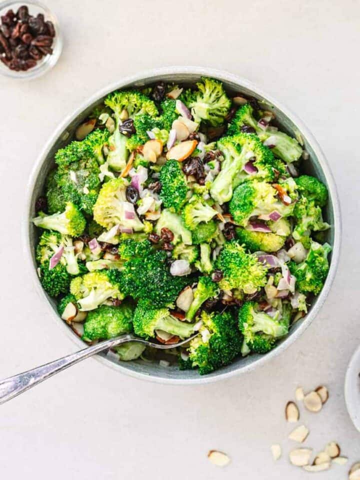 vegetarian broccoli slaw