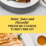 Pressure cooker turkey breast