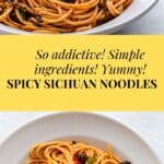 Spicy Sichuan Noodles