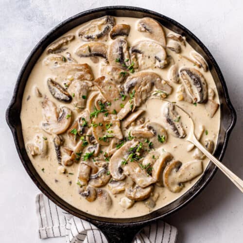 Creamy Mushroom Sauce Recipe - Posh Journal