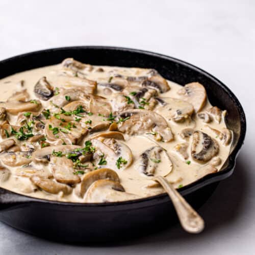 Creamy Mushroom Sauce Recipe Posh Journal
