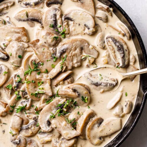 Creamy Mushroom Sauce Recipe Posh Journal