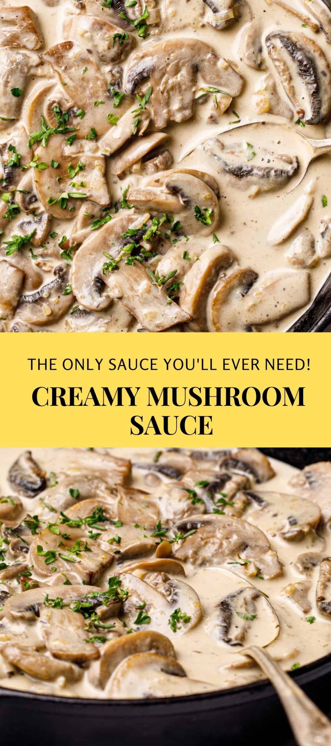 Creamy Mushroom Sauce Recipe Posh Journal 7428