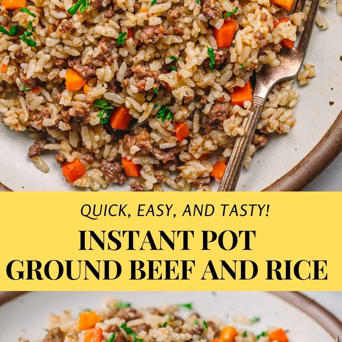 Instant Pot Ground Beef and Rice