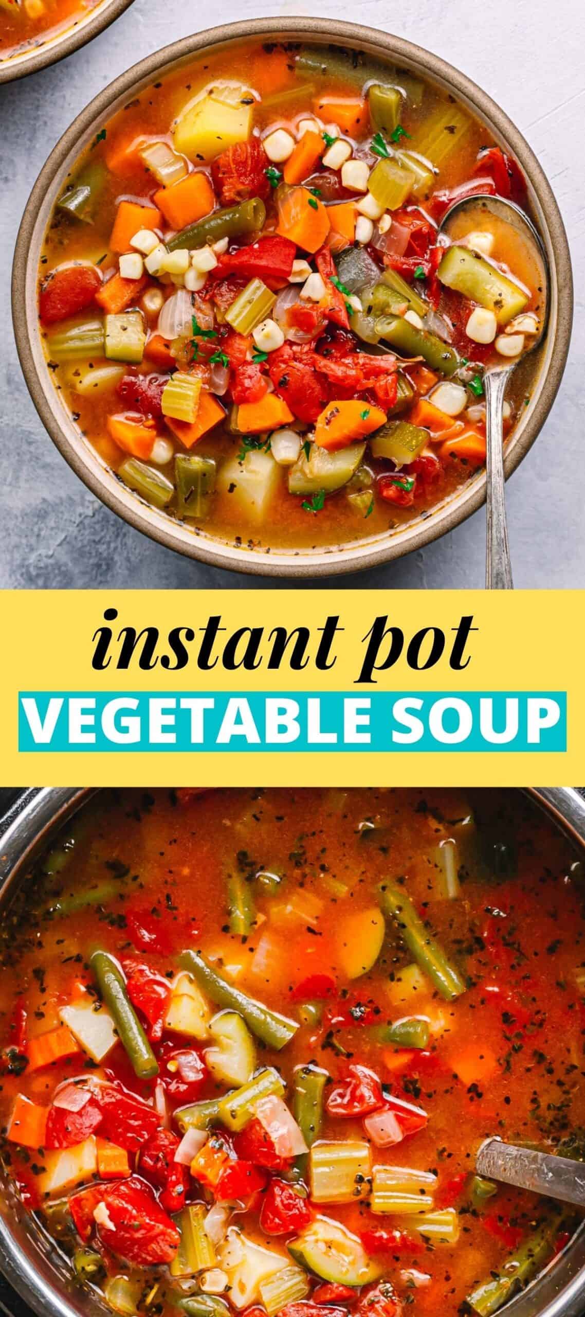 Instant Pot Vegetable Soup - Posh Journal