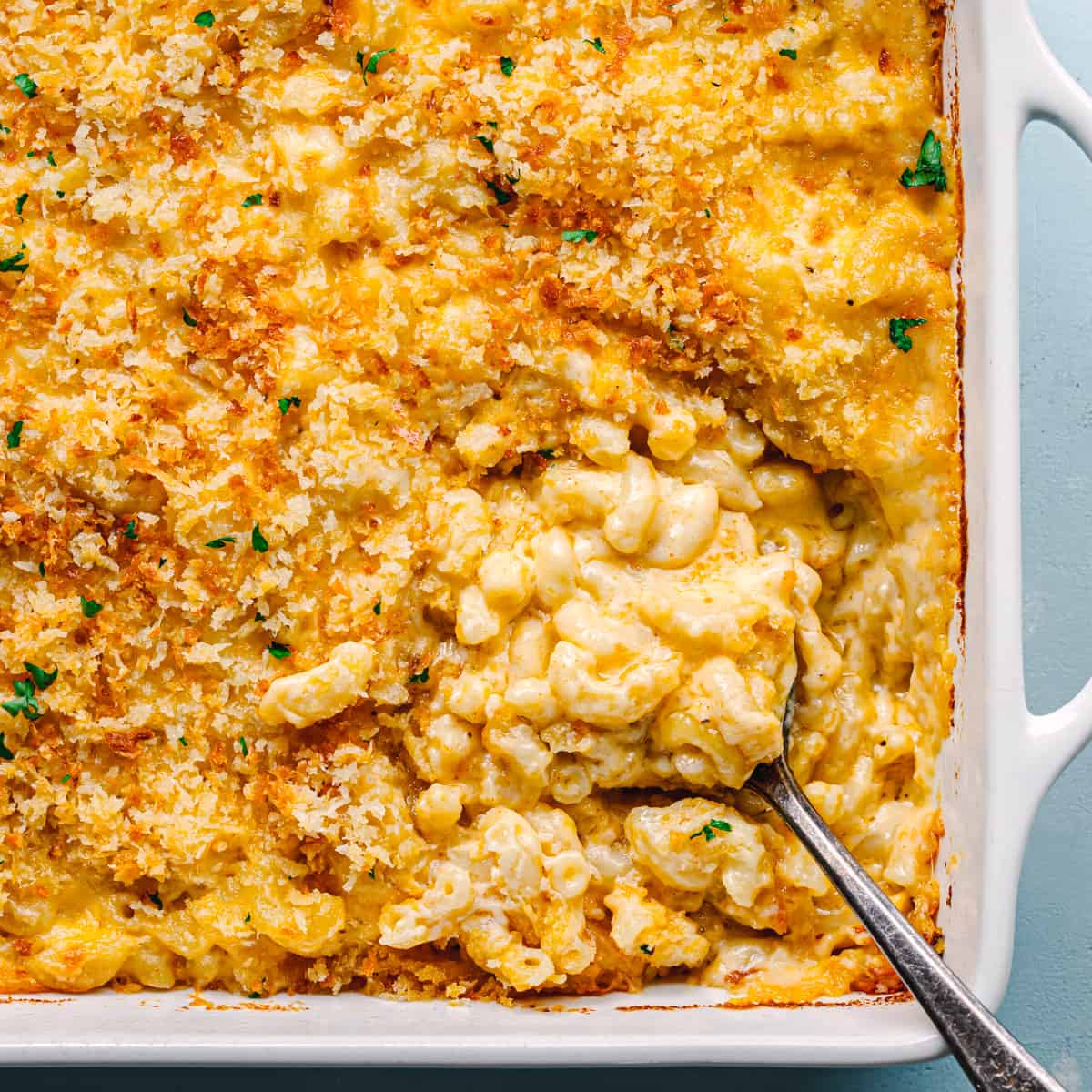 Baked Mac and Cheese (So Creamy and Cheesy) - Posh Journal