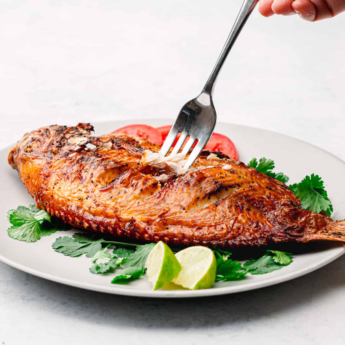 Grilled fish 2025 air fryer