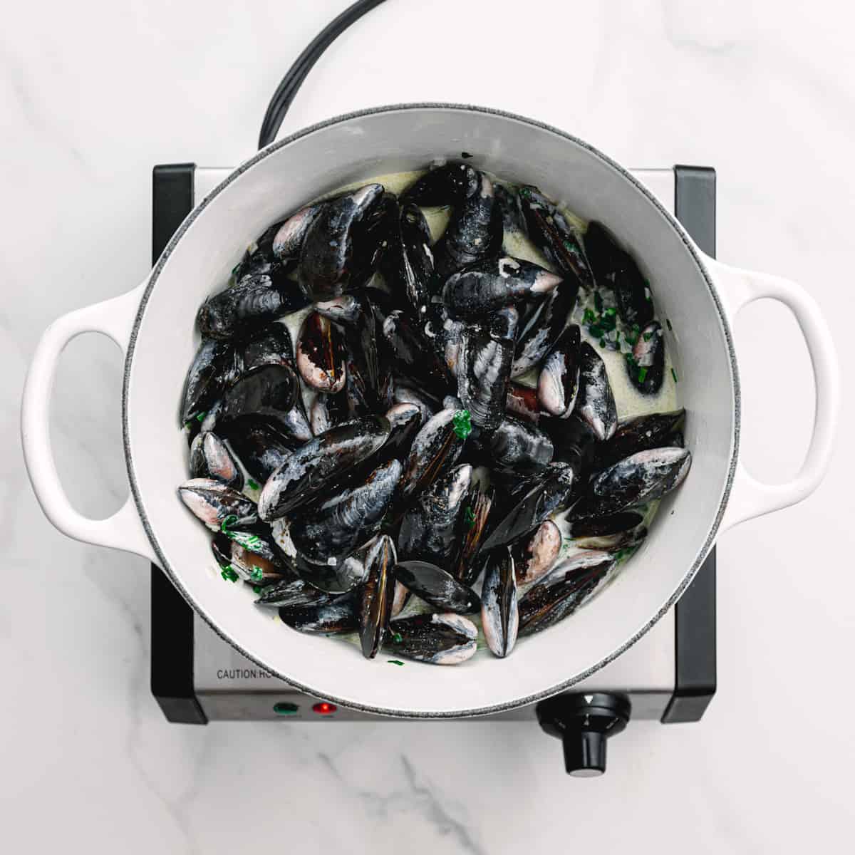 how to steam mussels. 