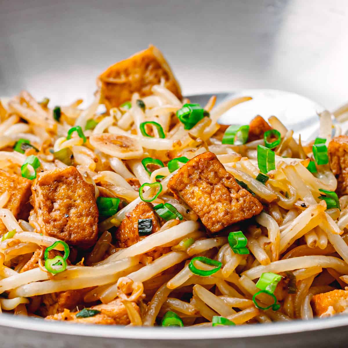 bean sprout stir fry with tofu