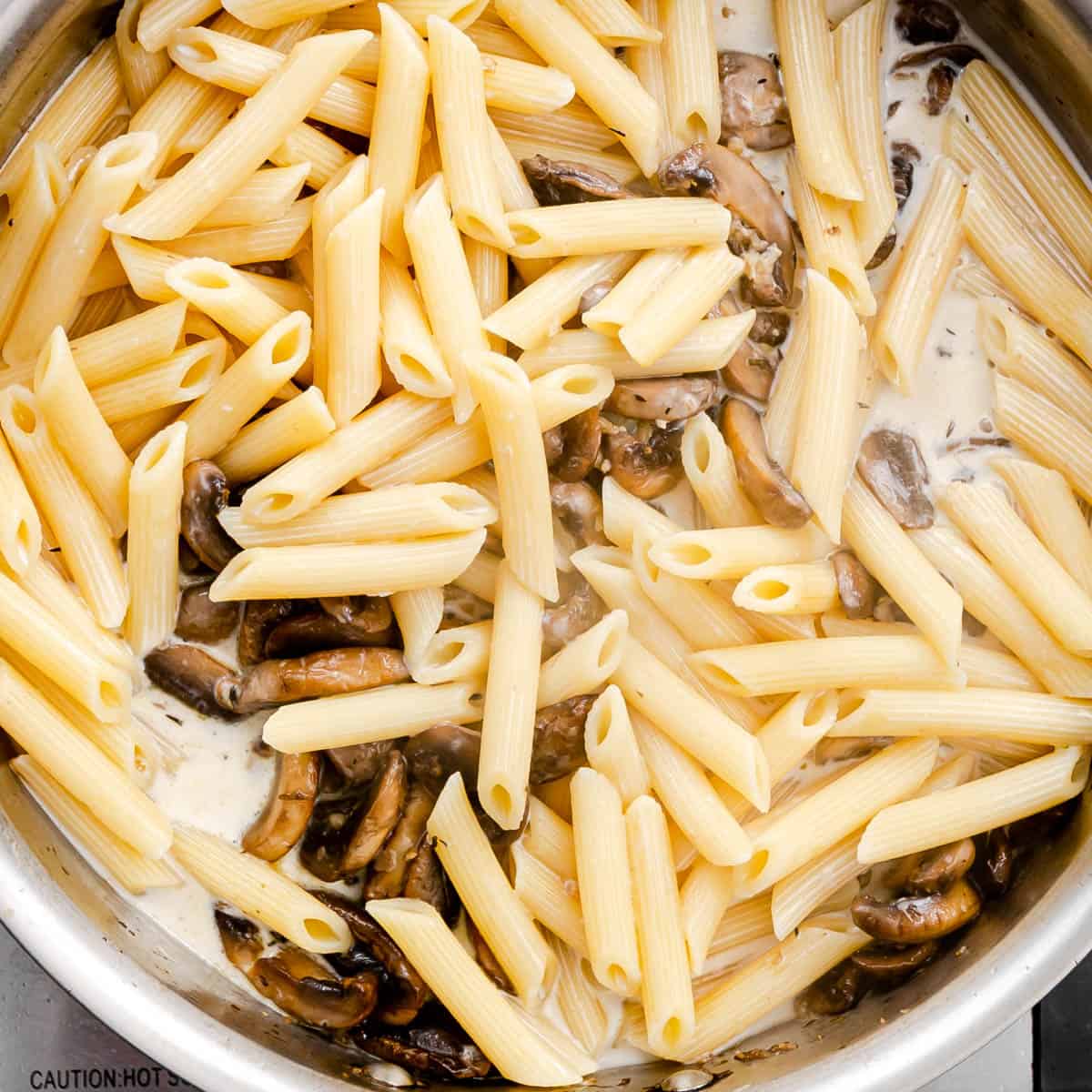 penne pasta with white sauce.