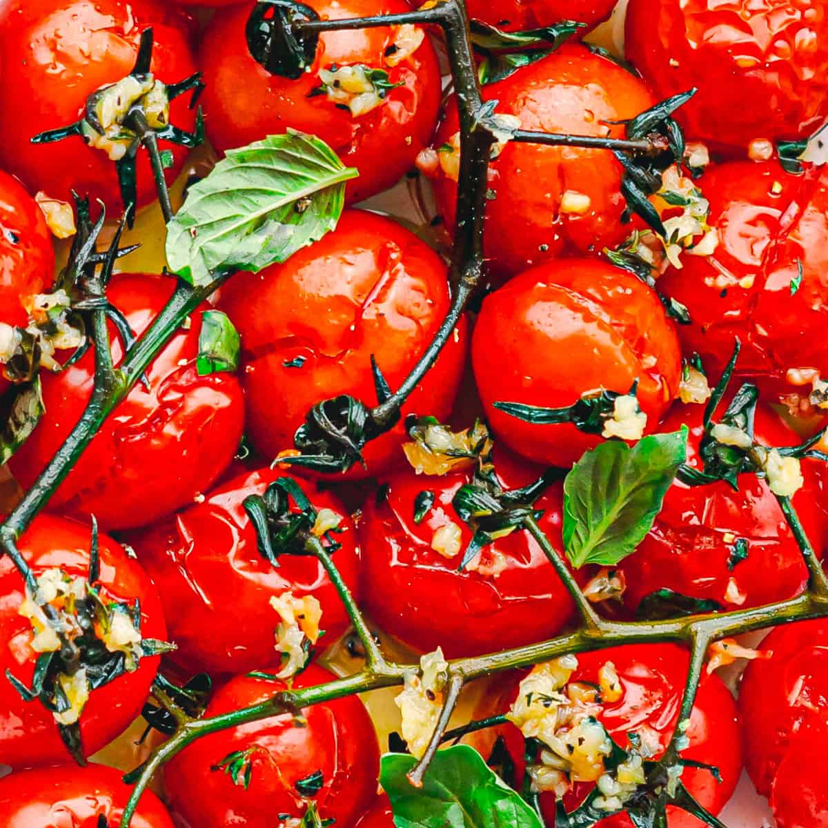 close up view of roasted cherry tomatoes. 
