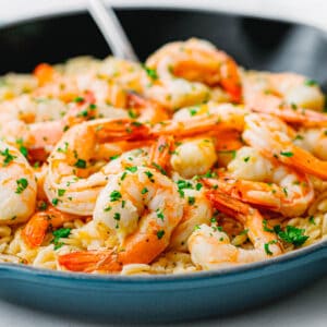 shrimp scampi with orzo recipe.