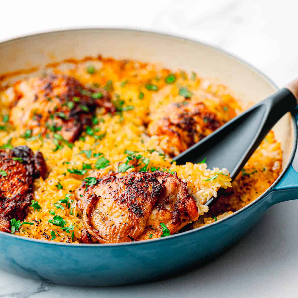Dutch Oven Chicken and Rice Recipe