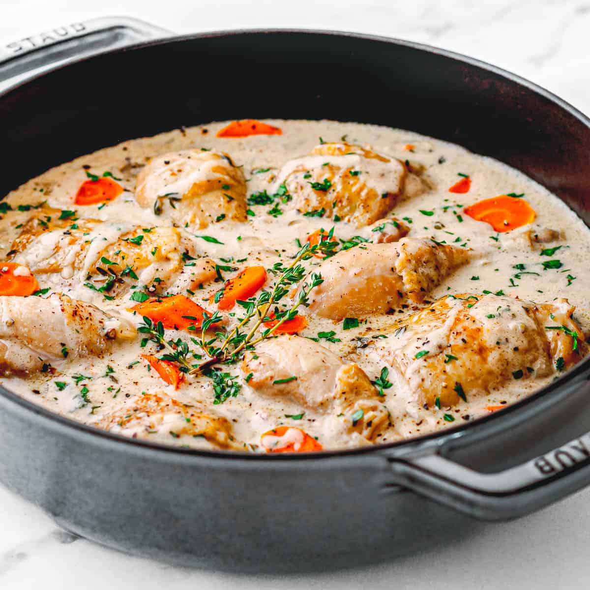 Chicken Fricassee recipe.