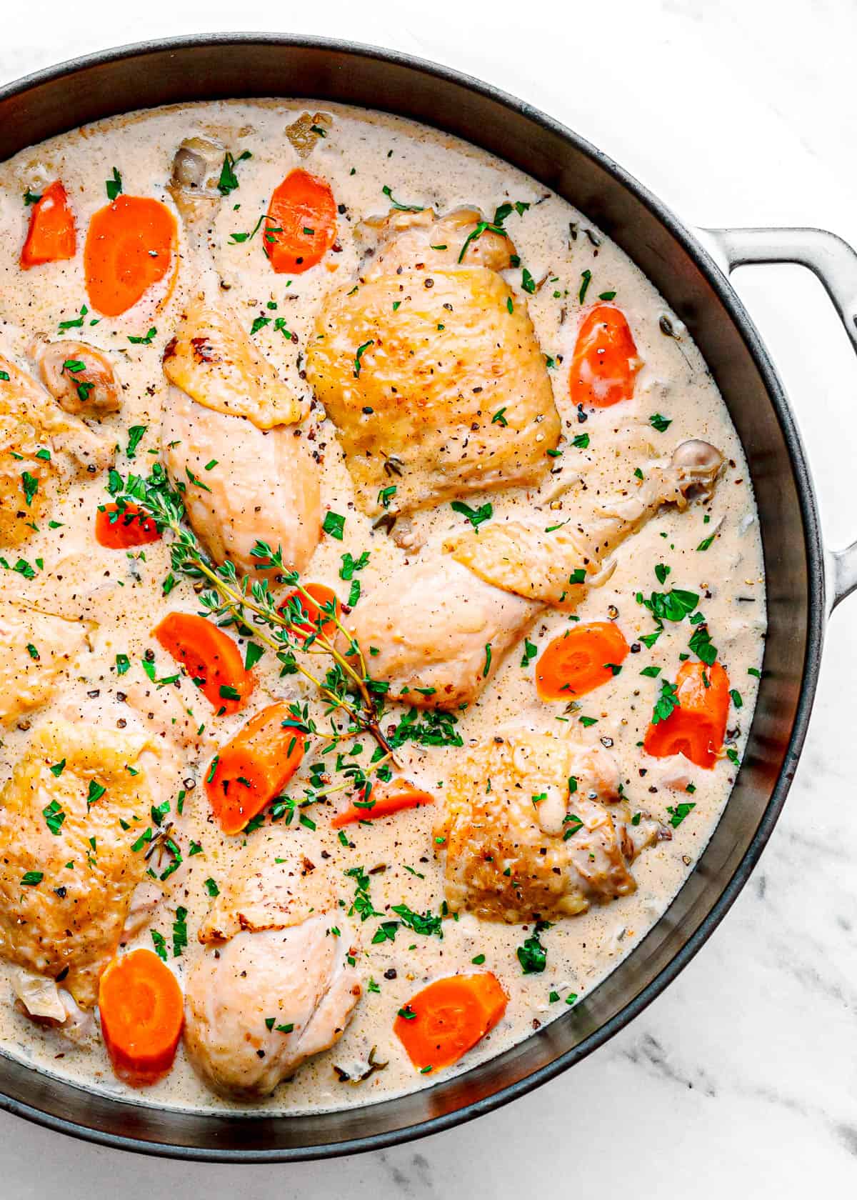 chicken fricassee recipe