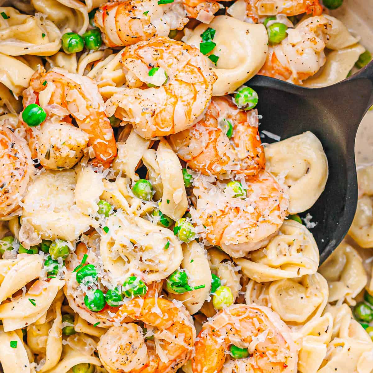 shrimp and tortellini recipe.