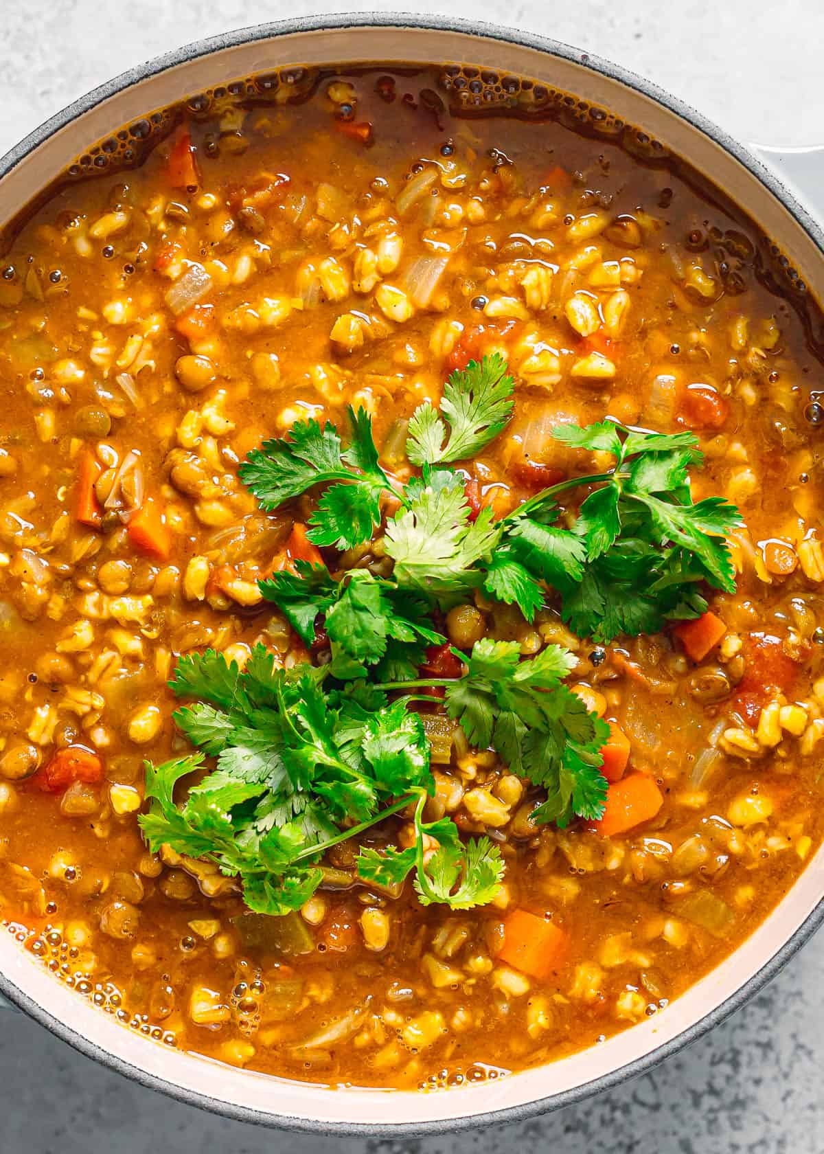 One bowl of barley lentil soup ready to eat.