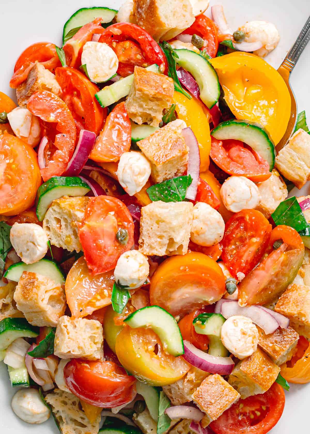Easy panzanella salad recipe close up showing juicy heirloom tomatoes soaked ciabatta mozzarella balls and torn basil leaves.